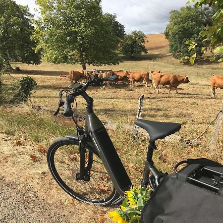 Résidence L'Oustal Del Carlat Esterno foto